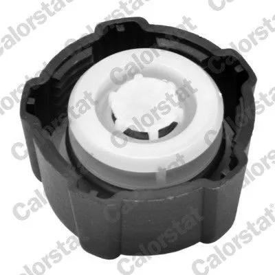 Imagine produs: Capac vas expansiune VERNET (RC0016)