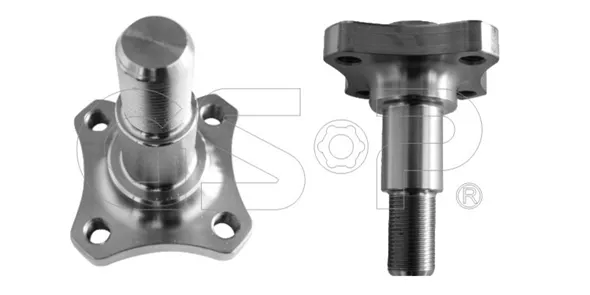 Imagine produs: Butuc roata spate GSP (9499032)