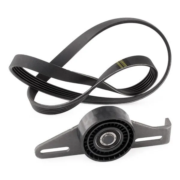 Imagine produs: Kit curea transmisie SKF (VKMA36091)